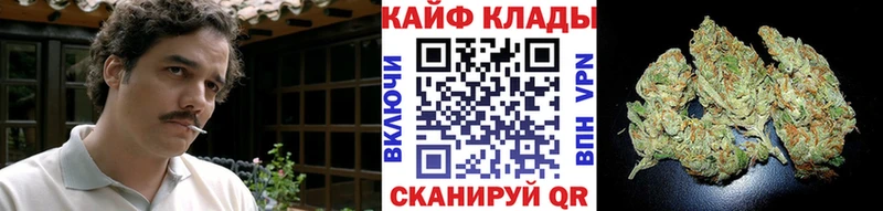 Названия наркотиков Тайшет МАРИХУАНА  МЕГА вход  ГАШ  МЕФ  COCAIN 