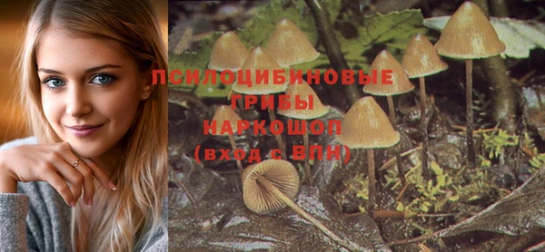 а пвп мука Алзамай
