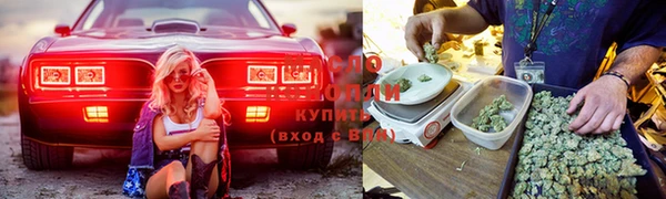 а пвп мука Алзамай